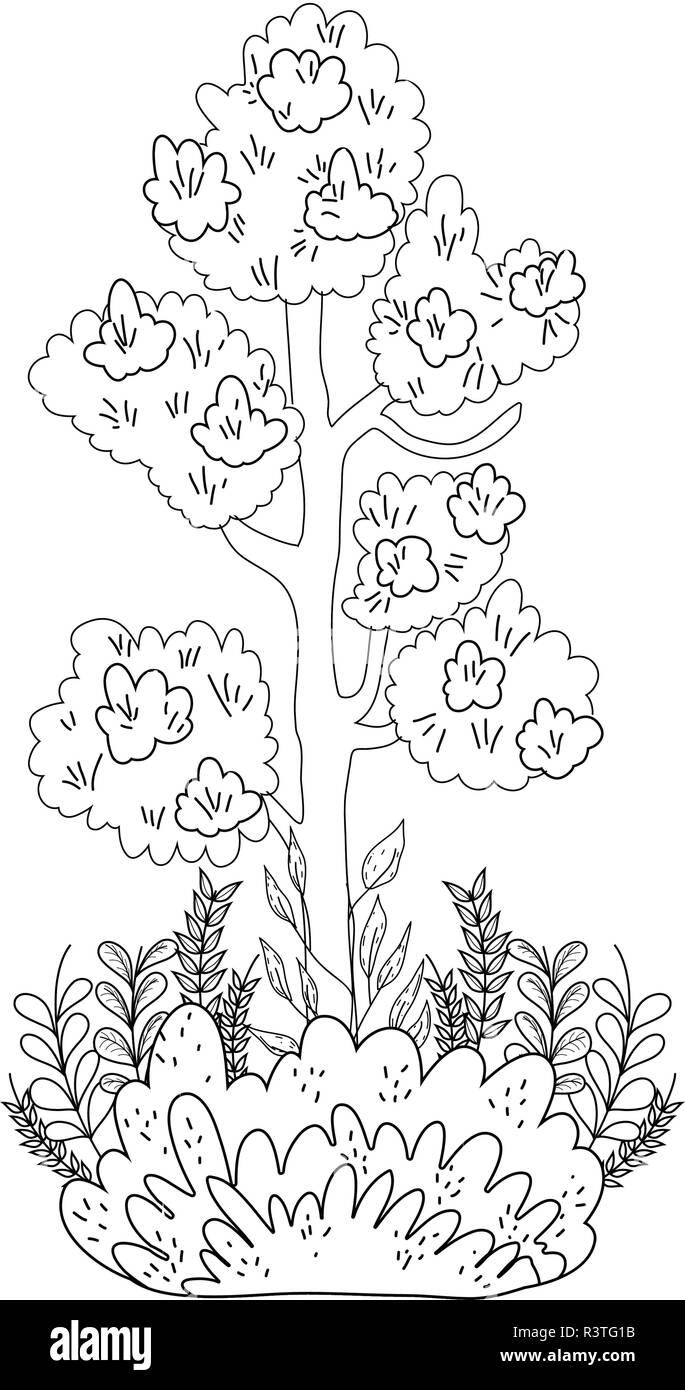 tree plant with garden vector illustration design Stock Vector Image ...