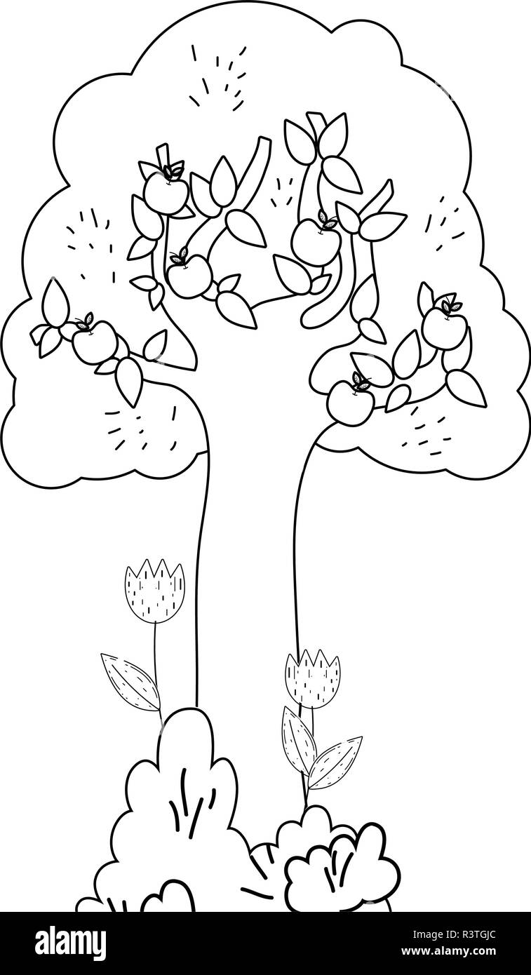 tree plant with garden vector illustration design Stock Vector Image ...