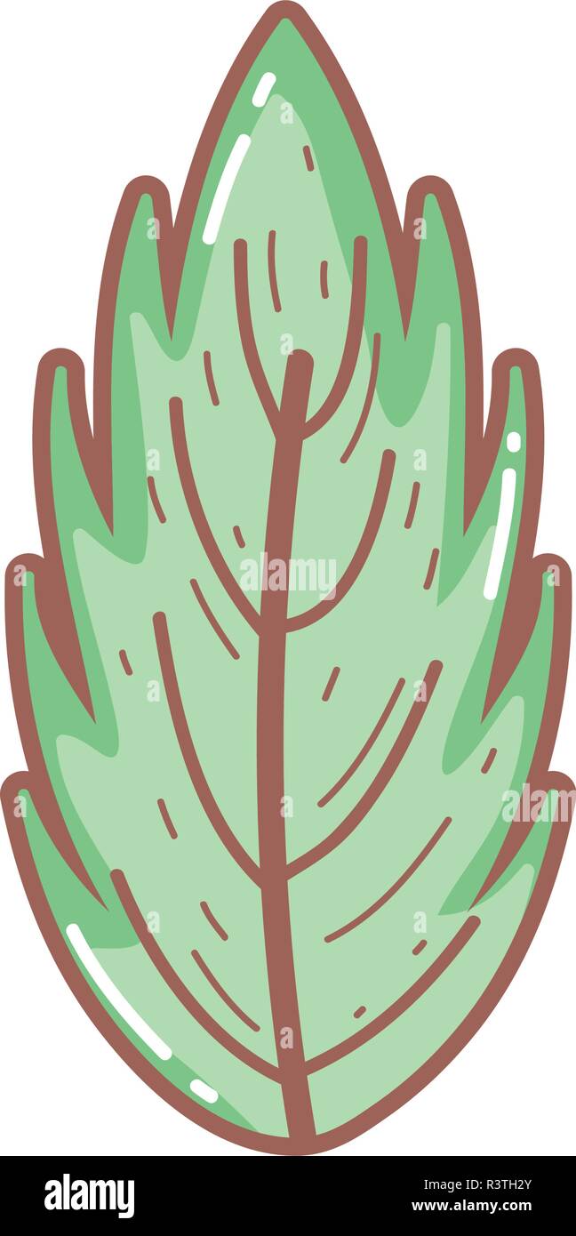 leaf plant isolated icon vector illustration design Stock Vector Image ...