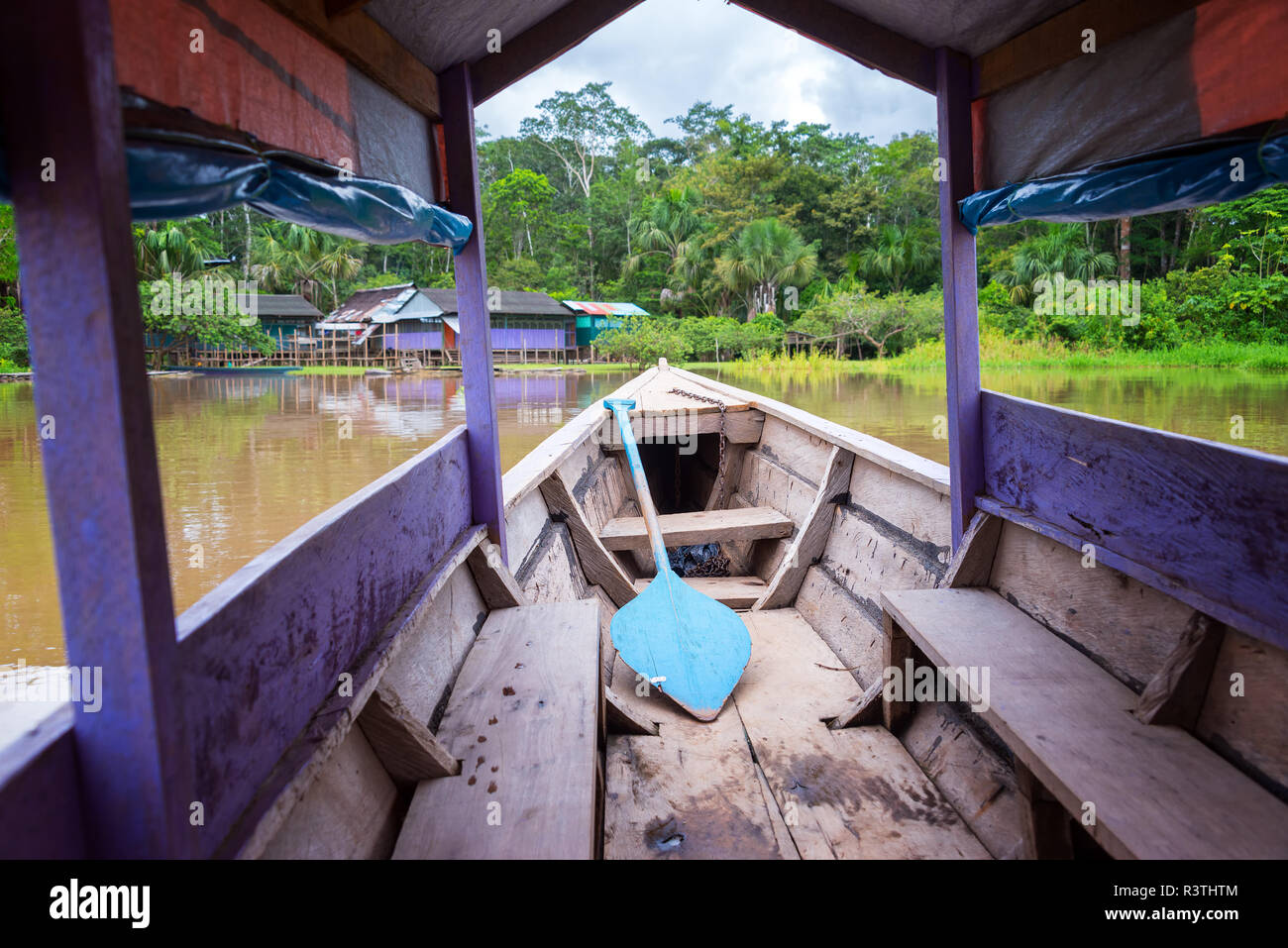 Canoe tree amazon hi-res stock photography and images - Page 5 - Alamy