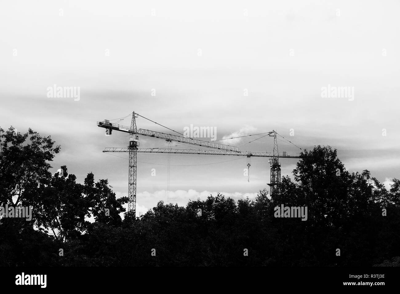 crane in construction building site. black and white tone image Stock ...