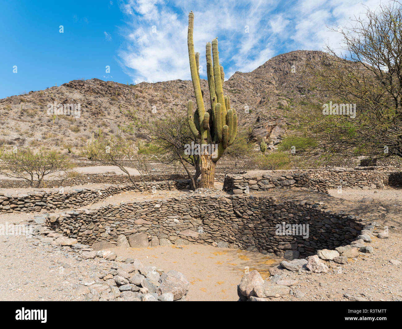 Ruins of Quilmes near Tucuman and Cafayate. Quilmes is considered as the biggest pre-Columbian settlement in Argentina. (Editorial Use Only) Stock Photo