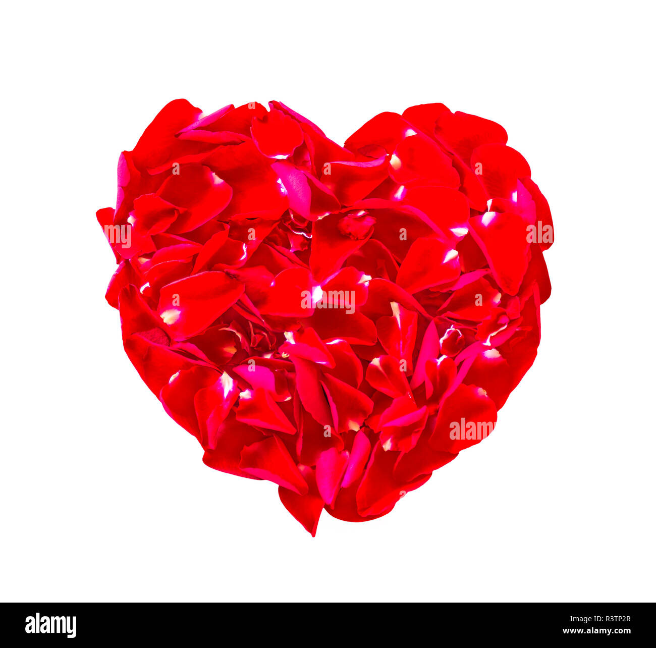 Red heart rose flowers isolated Stock Photo - Alamy