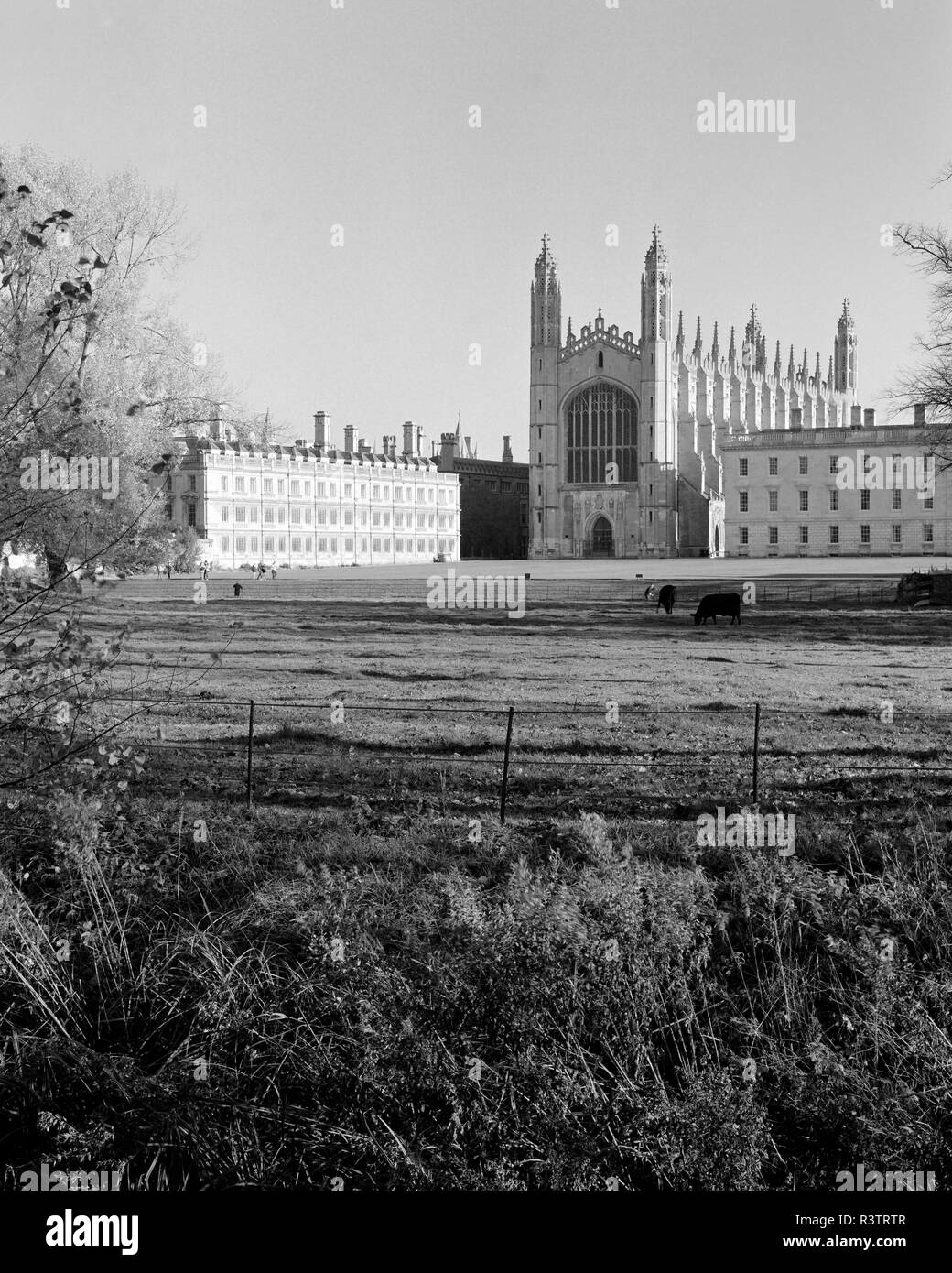 Kings College Chapel and Clare College Cambridge England from the Backs Stock Photo