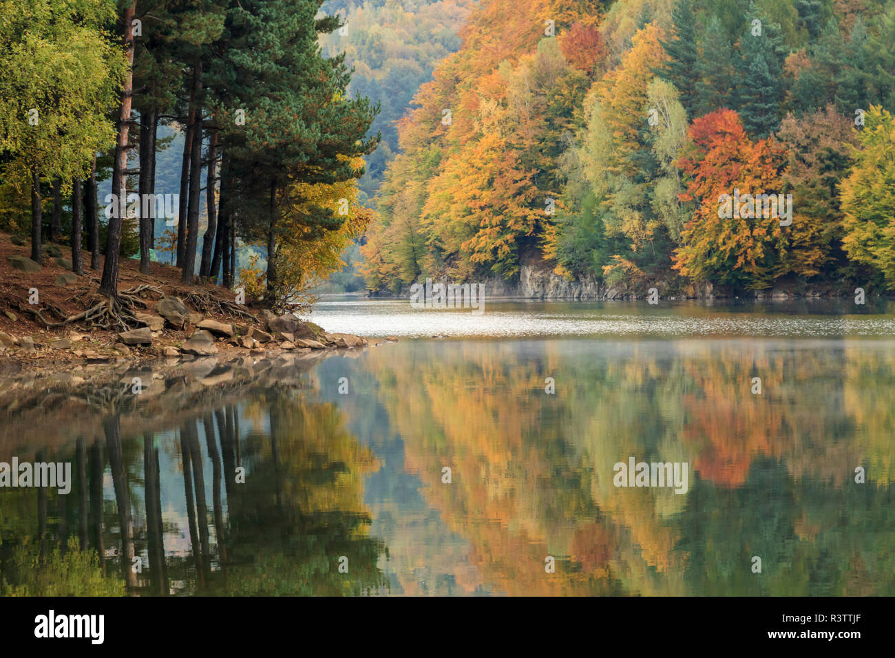 Maramures County, Romania. Baia Mare. Firiza. Lake Firiza. Fall color. Stock Photo