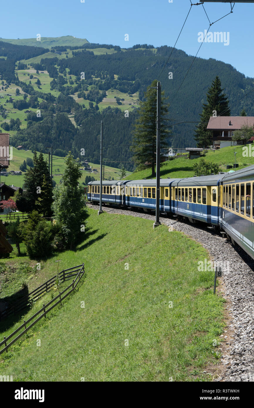 ride on car with track