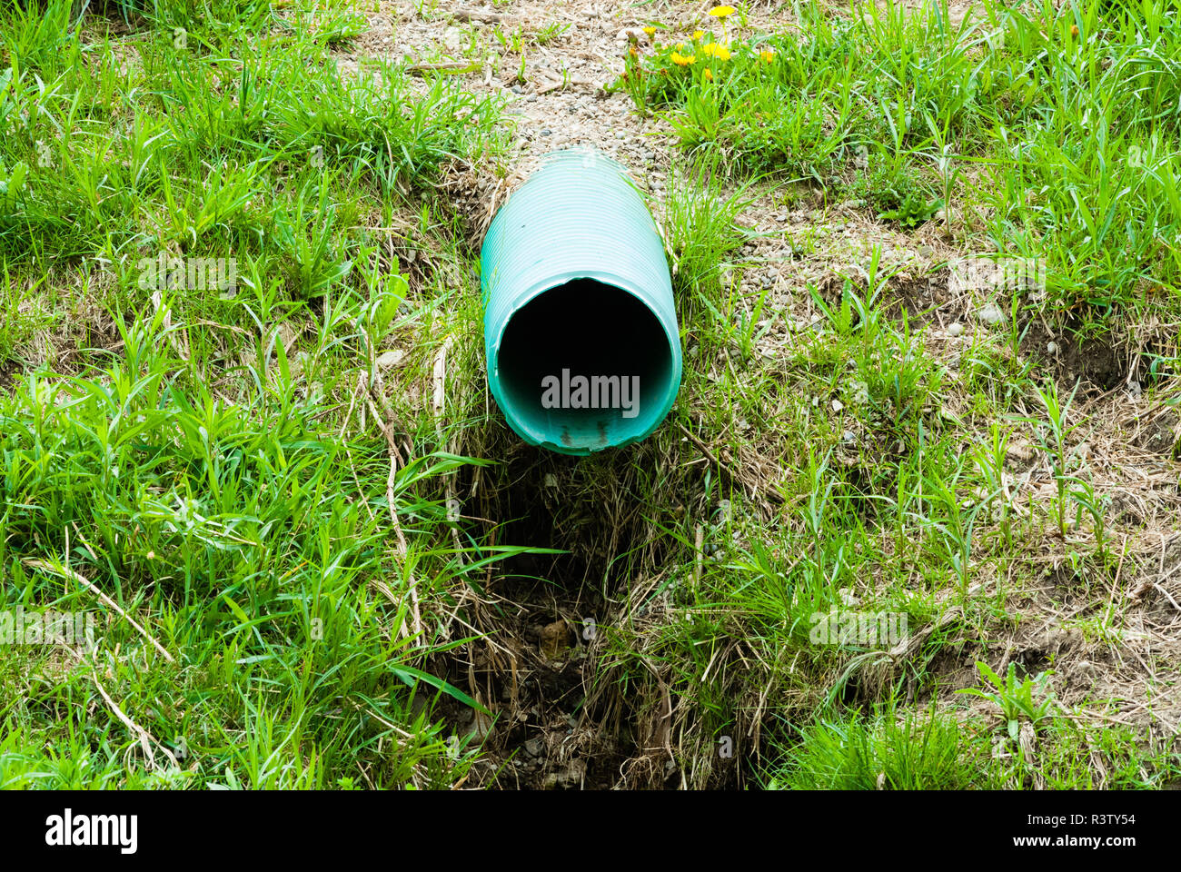 Plastic green drain pipe emerging from grassy ground Stock Photo