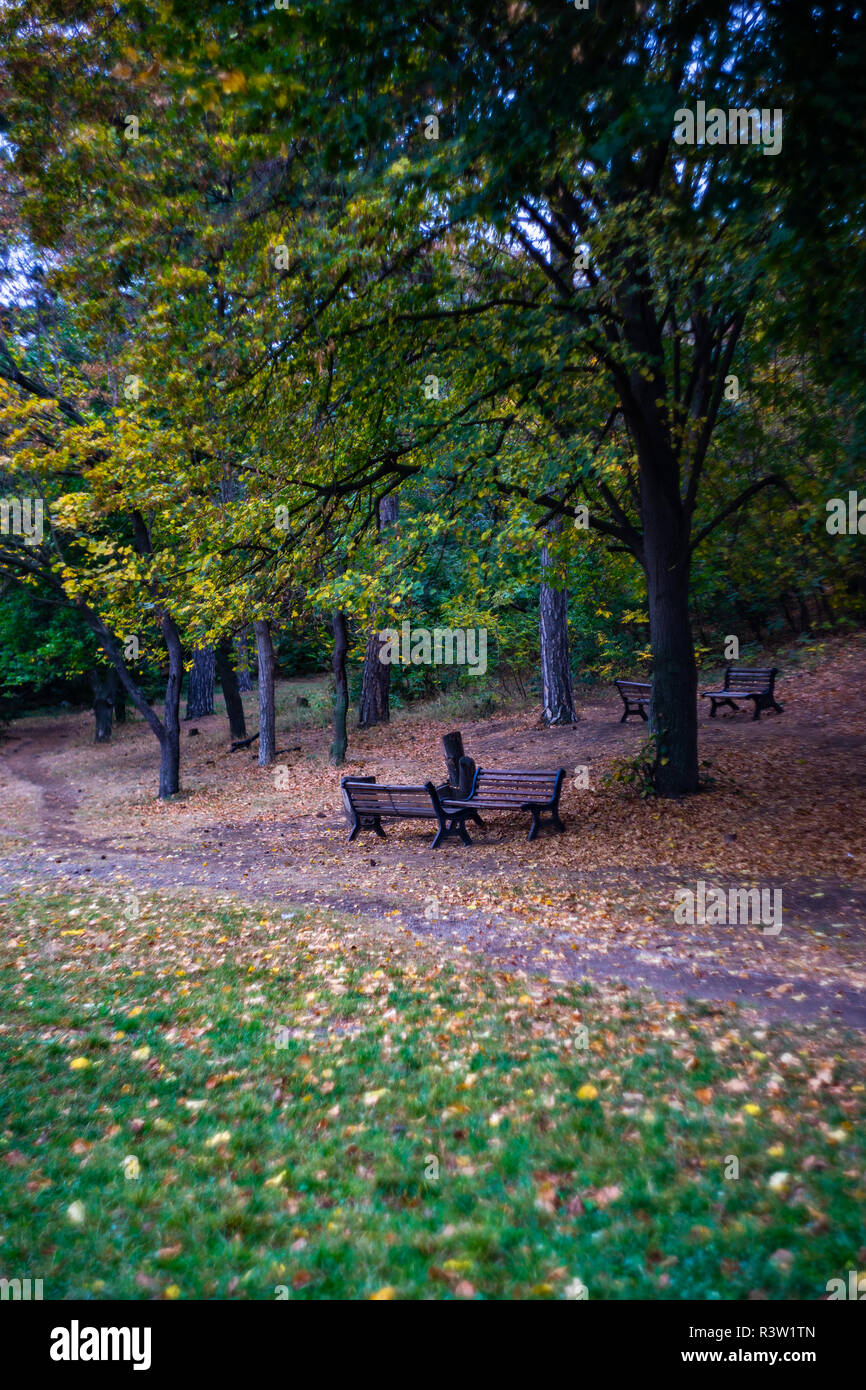 Autumnal park with trees with yellow leaves and park bench Stock Photo ...