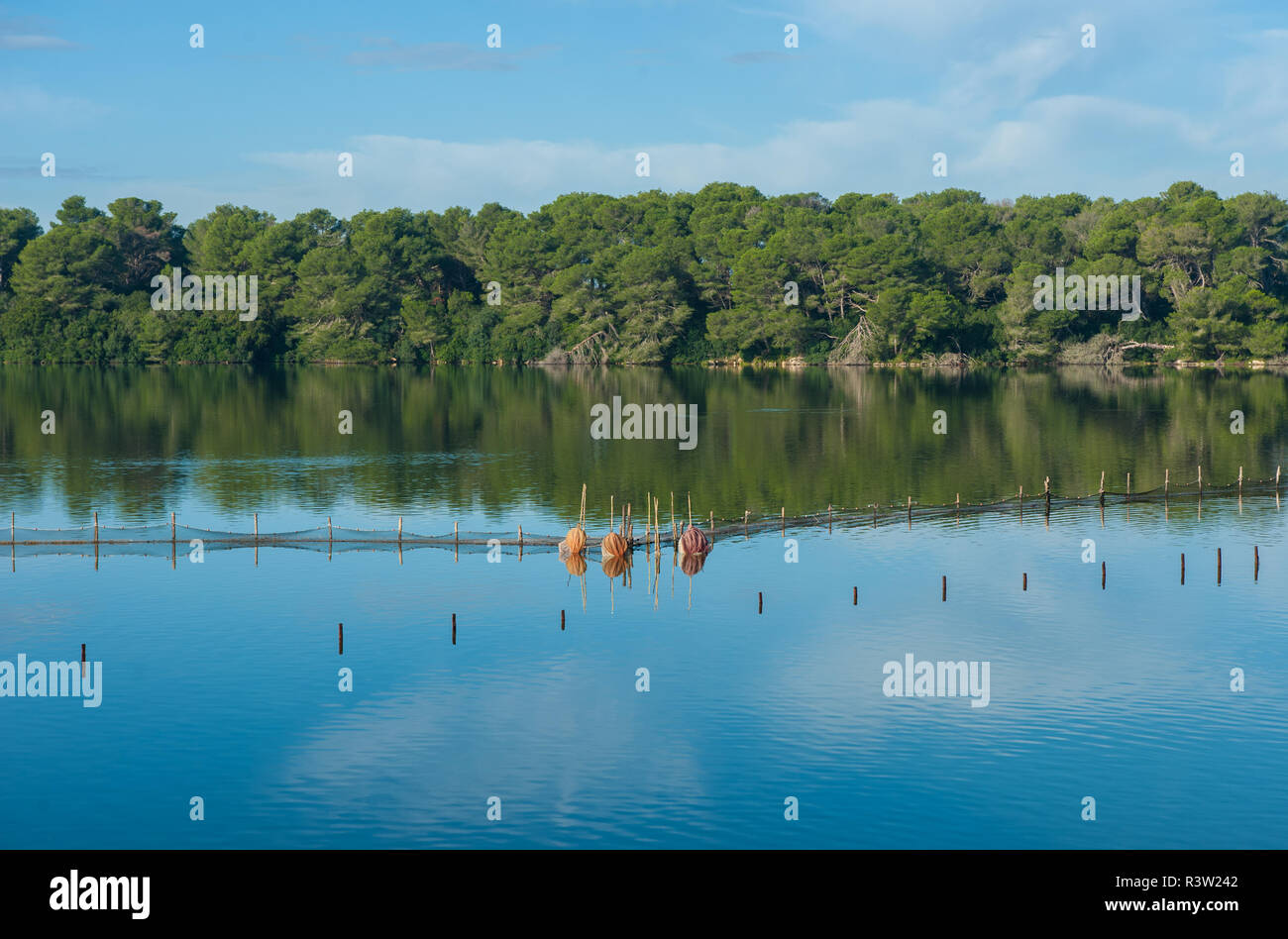 Fishing Nets In Alimini Lakes Along The Otranto Coast