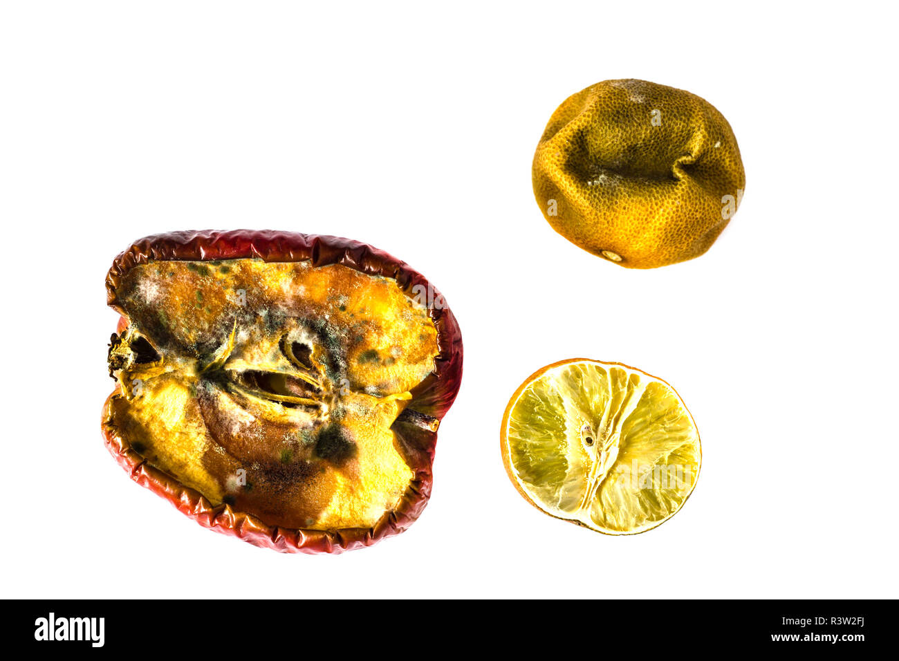 rot apple with fungi Stock Photo - Alamy
