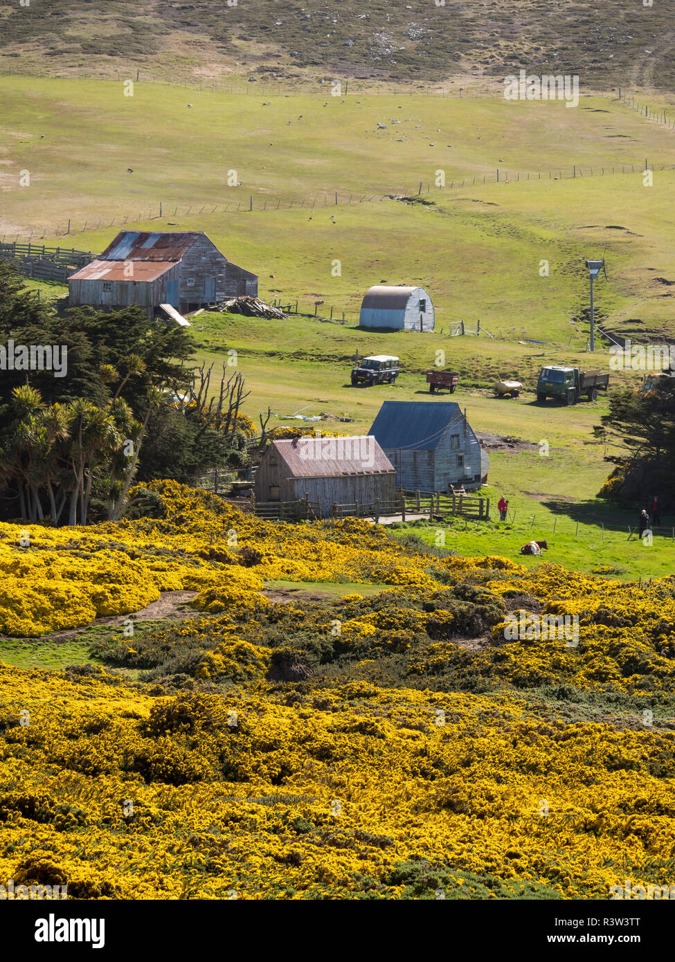 Carcass Island, a small island in West Falklands. South America, Falkland Islands (Editorial Use Only) Stock Photo