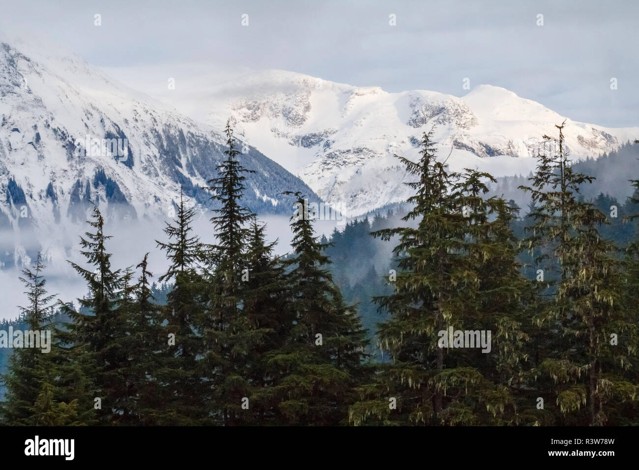 USA, Alaska. Fog and new snow in the mountains and trees near Juneau. Stock Photo