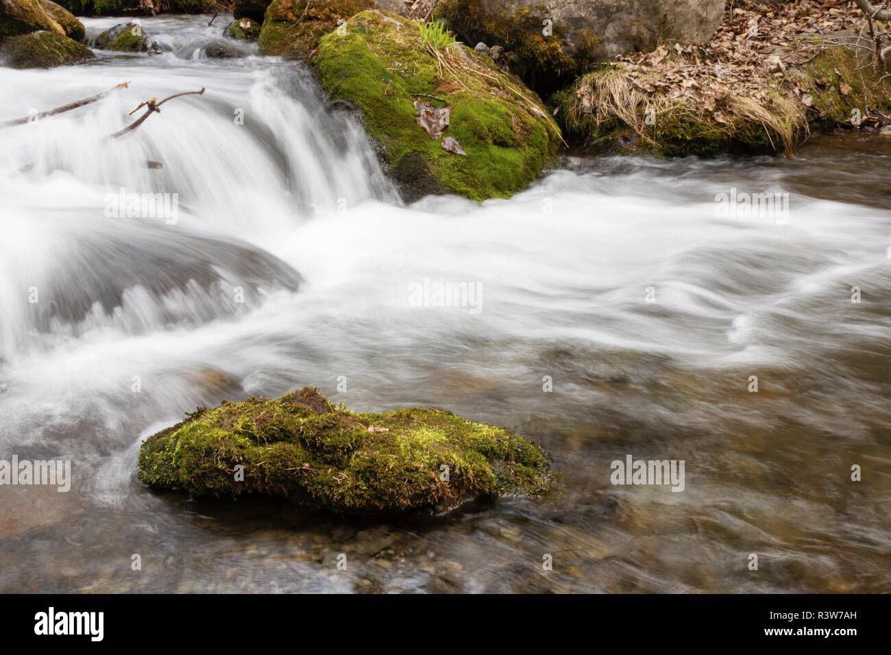 USA, Alaska. A mountain stream flows over rocks. Stock Photo