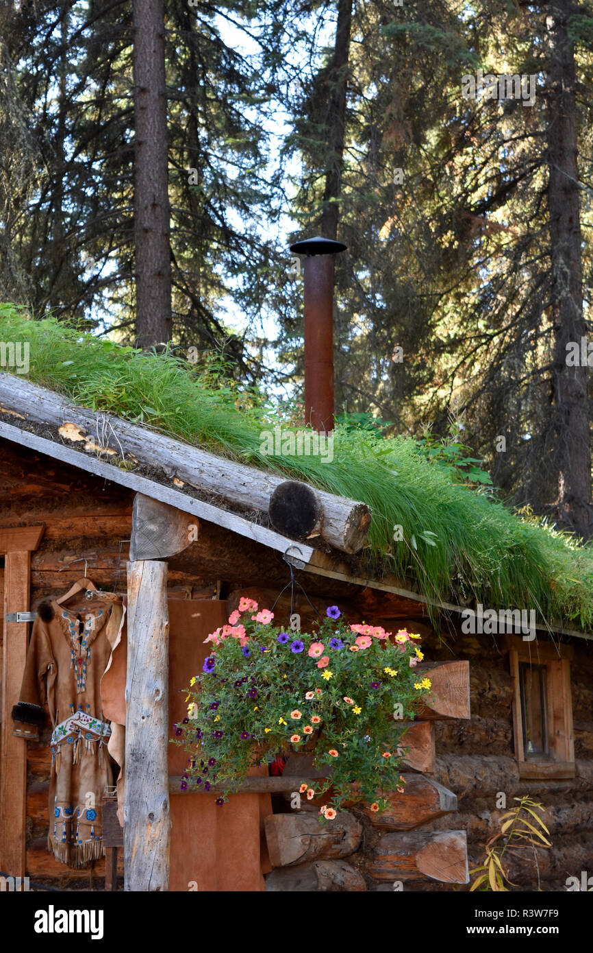USA, Alaska, Fairbanks. Chena Indian Village, log cabin Stock Photo Alamy