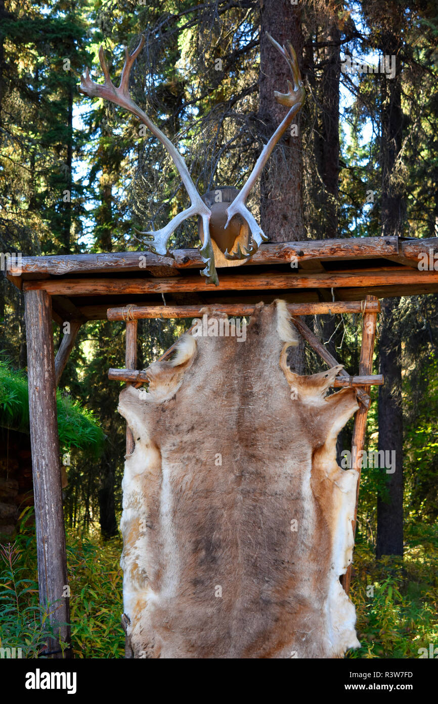 USA, Alaska, Fairbanks. Chena Indian Village, caribou antler and skin