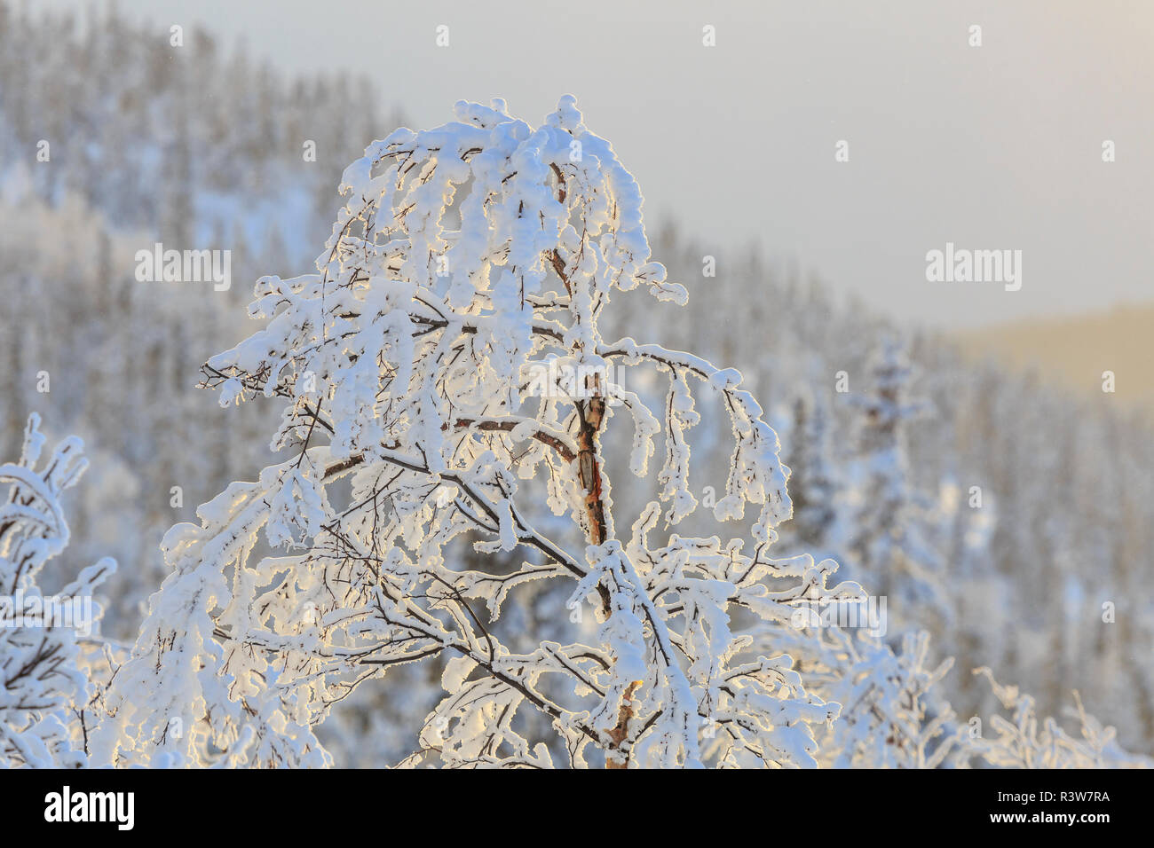 Ester dome hires stock photography and images Alamy