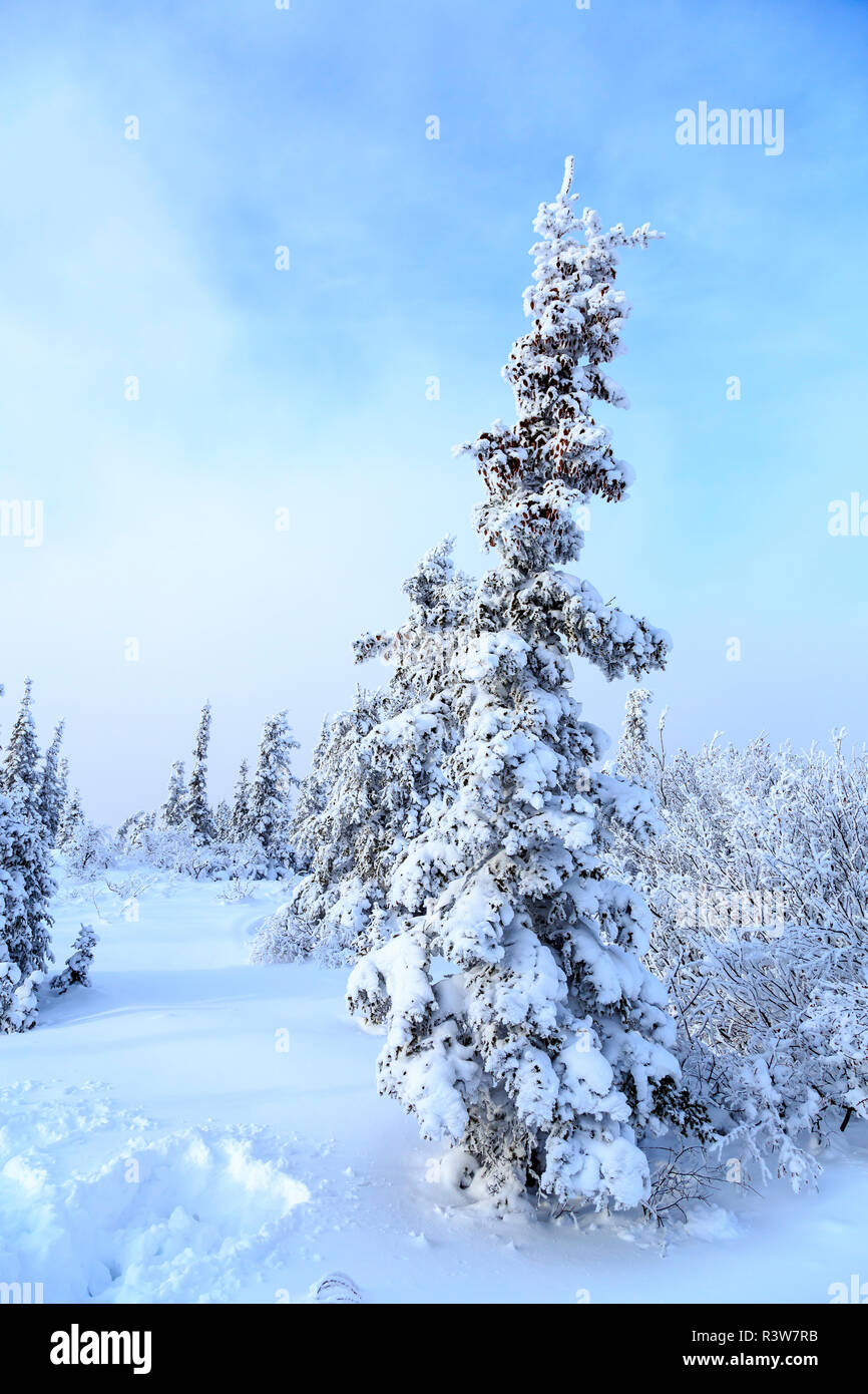 Ester dome hires stock photography and images Alamy