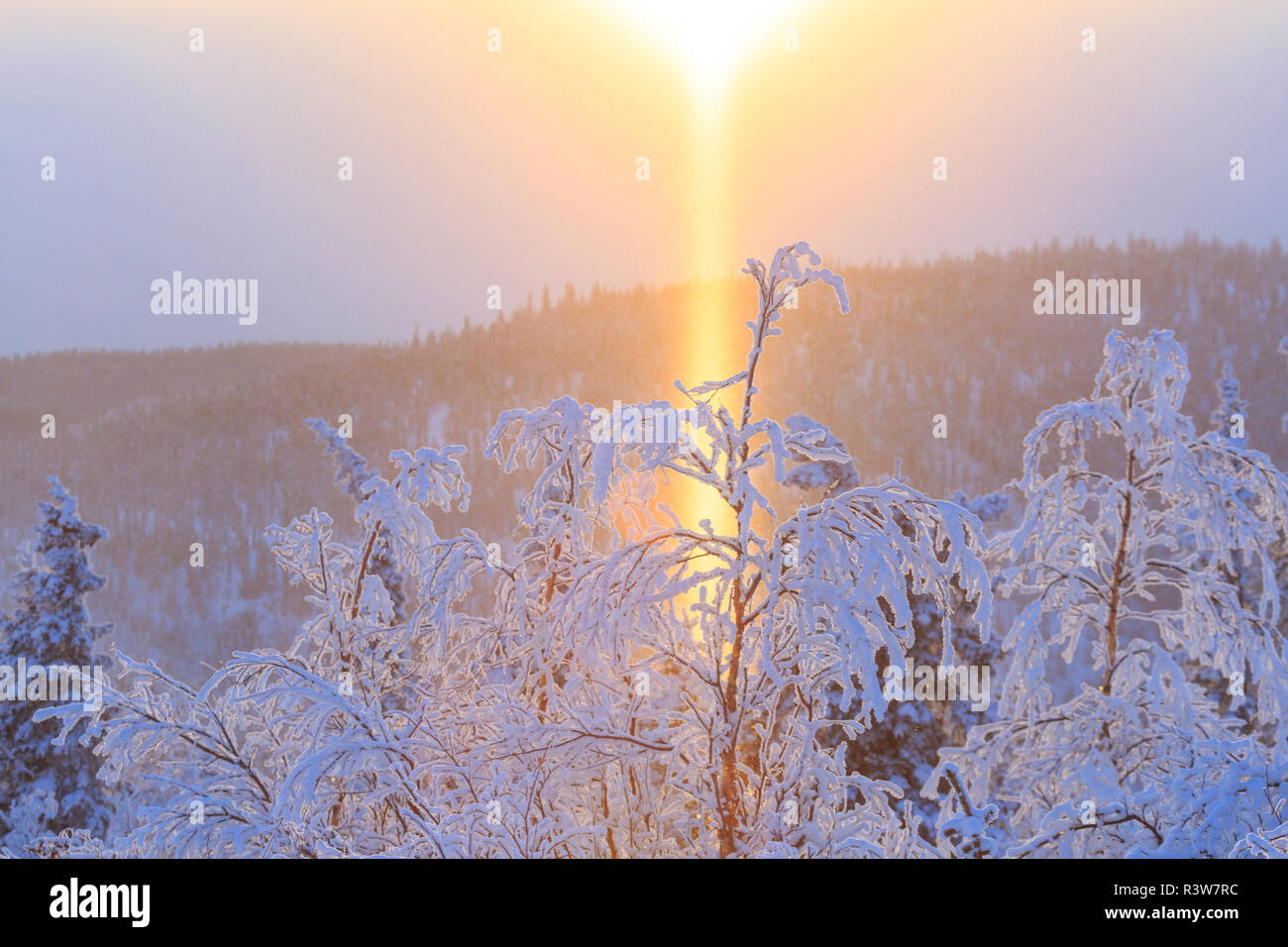 Snowy scenic along Ester Dome Road, Fairbanks, Alaska, USA Stock Photo