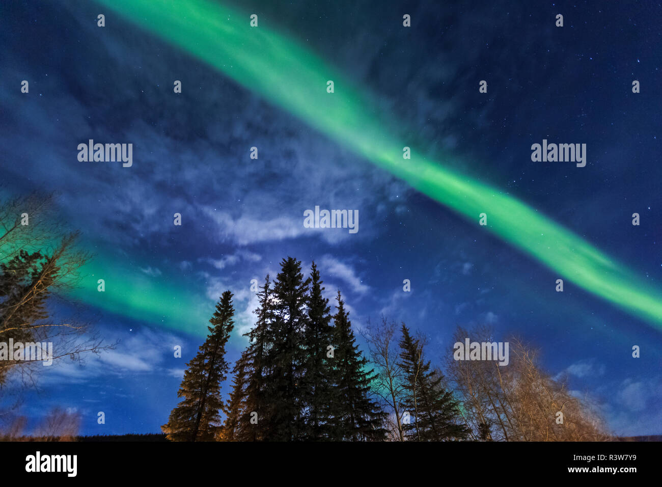 Aurora borealis, Northern Lights, near Fairbanks, Alaska Stock Photo