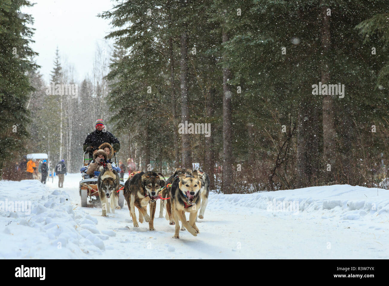 hot dog sled