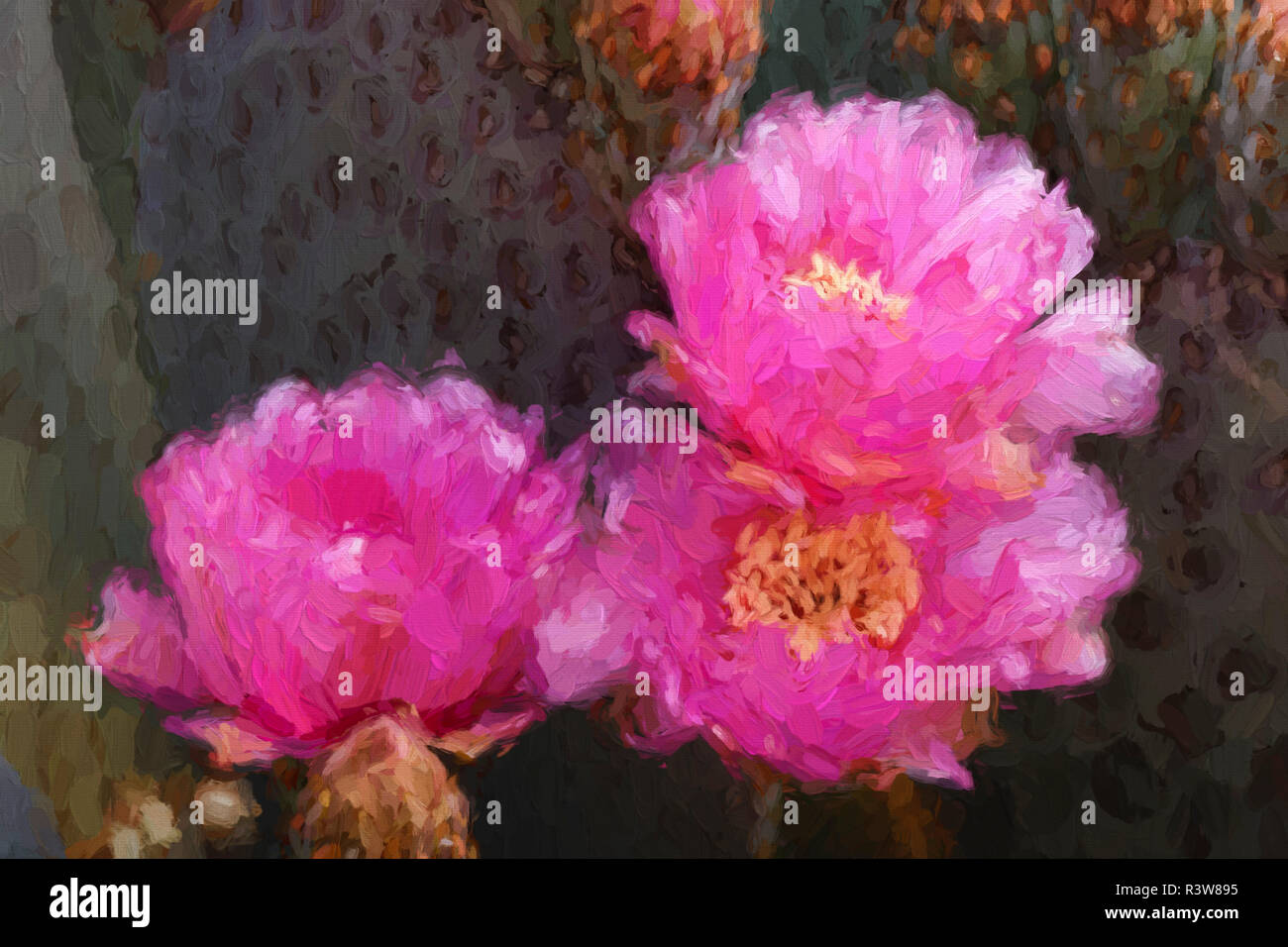 Painting effect on Beavertail Prickly Pear cactus flower, Phoenix, Arizona, Opuntia basilaris Stock Photo