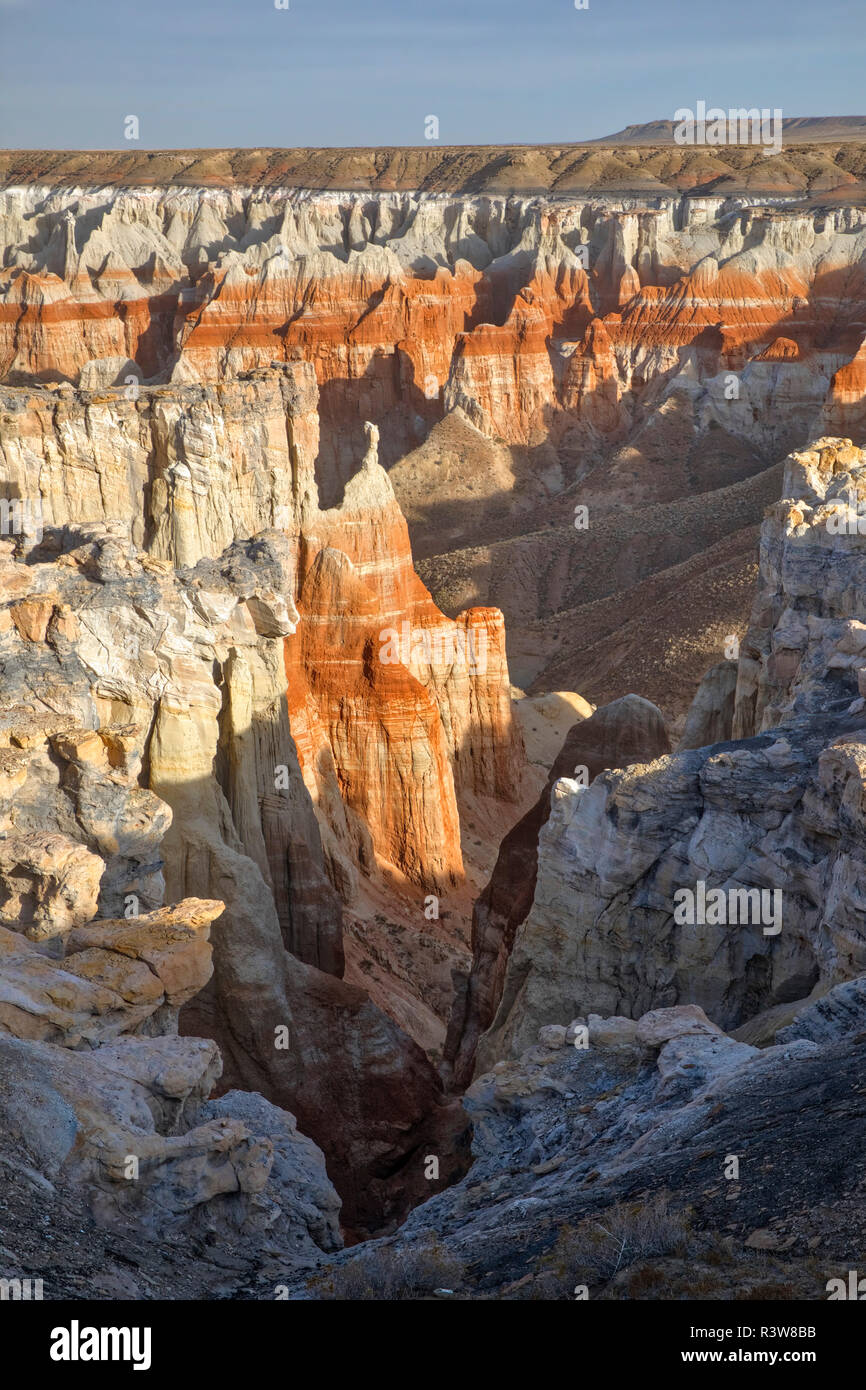 Coal Mine Canyon near Tuba City, Arizona, part of the Moenkopi Wash