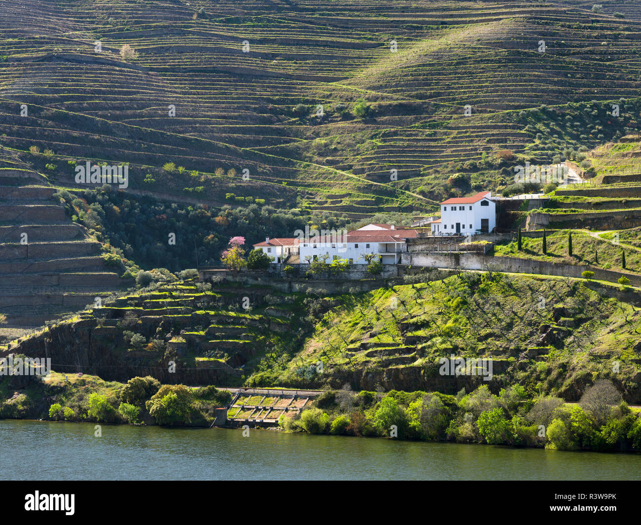 Port Wine Growing Area River Douro Stock Photos Port Wine
