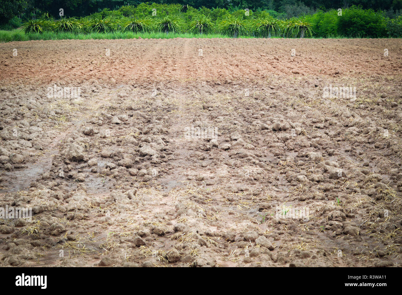 landscape field harrows plowing for agricultural area farmland / soil
