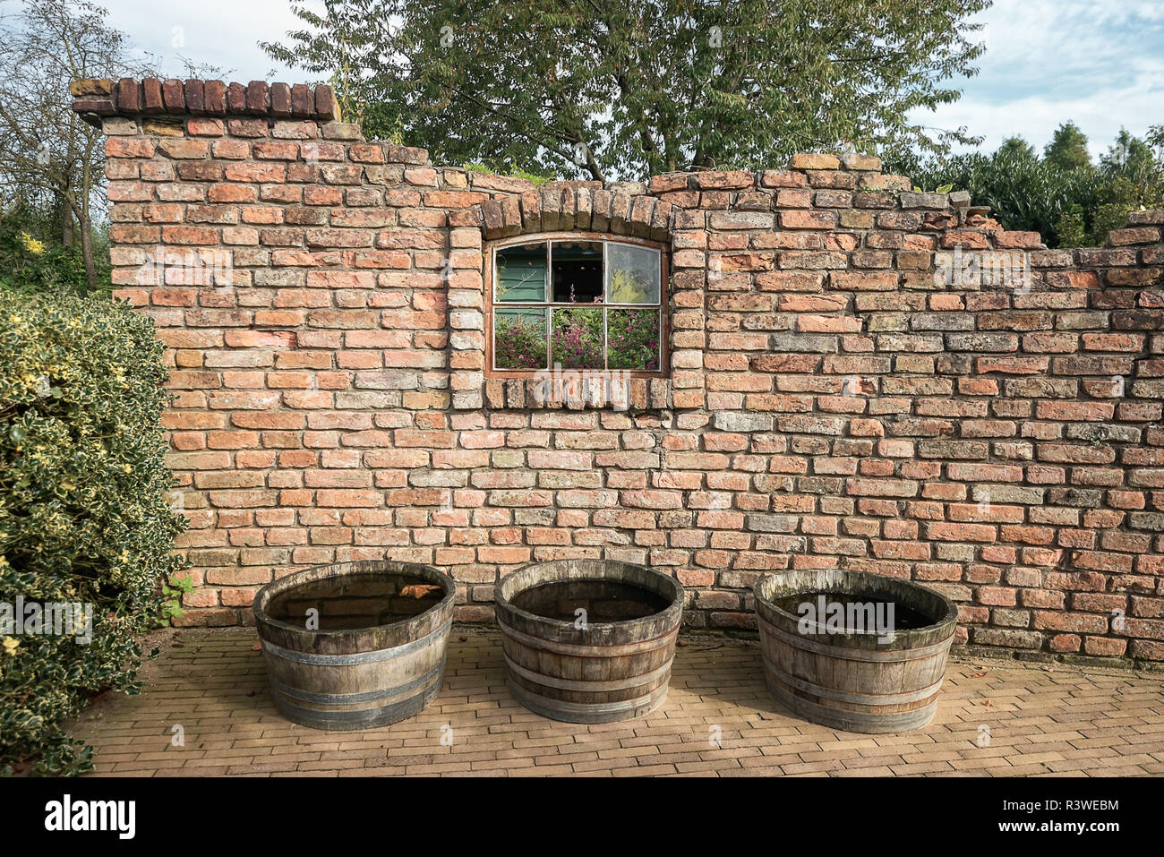 Old wall with broken window with three barrels filled with water somewhere in a park in the Netherlands. Stock Photo