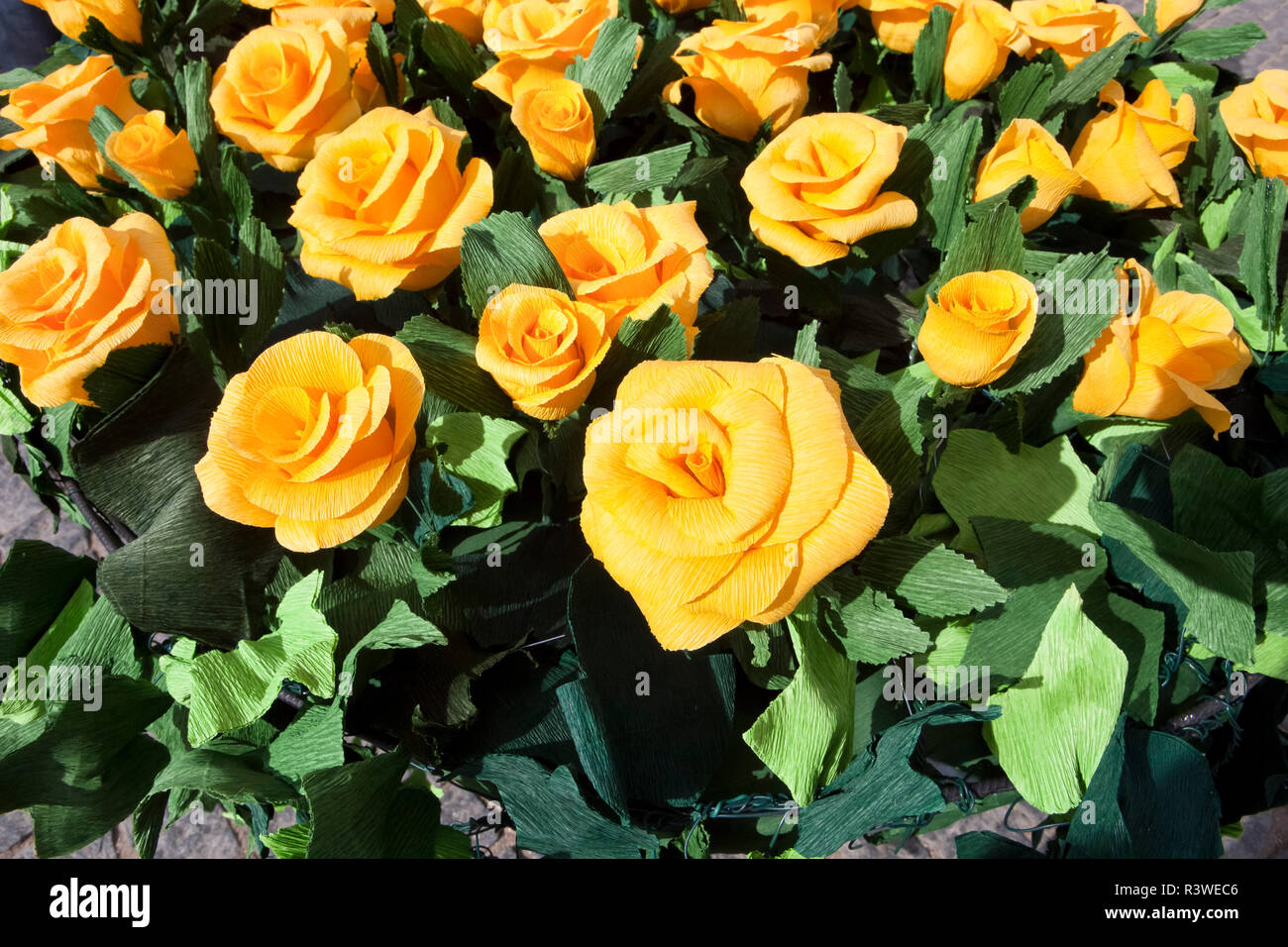 Yellow paper roses Stock Photo Alamy