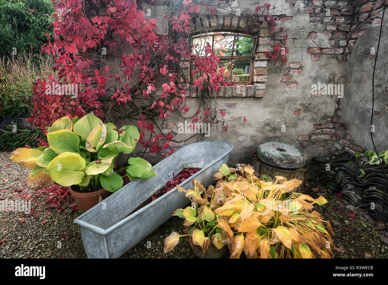 Old wall with broken window with in front a sinc trough filled with water somewhere in a park in the Netherlands. Stock Photo