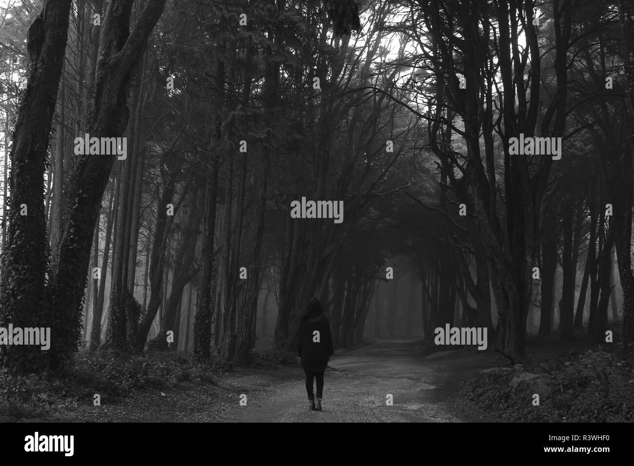The girl in the fog Black and White Stock Photos & Images - Alamy