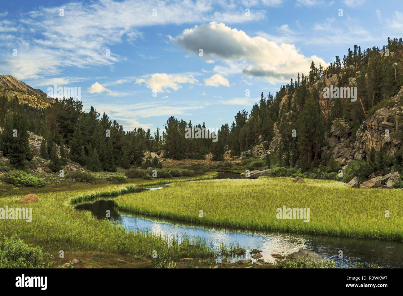 Stream and meadow, Little Lakes Valley, John Muir Wilderness, Inyo National Forest, California. Stock Photo