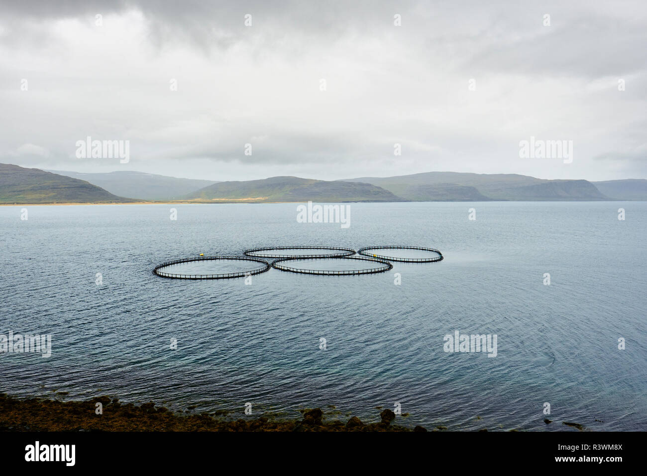 Four aquaculture fish farm pens on the Iceland coast in the Westfjords. Stock Photo