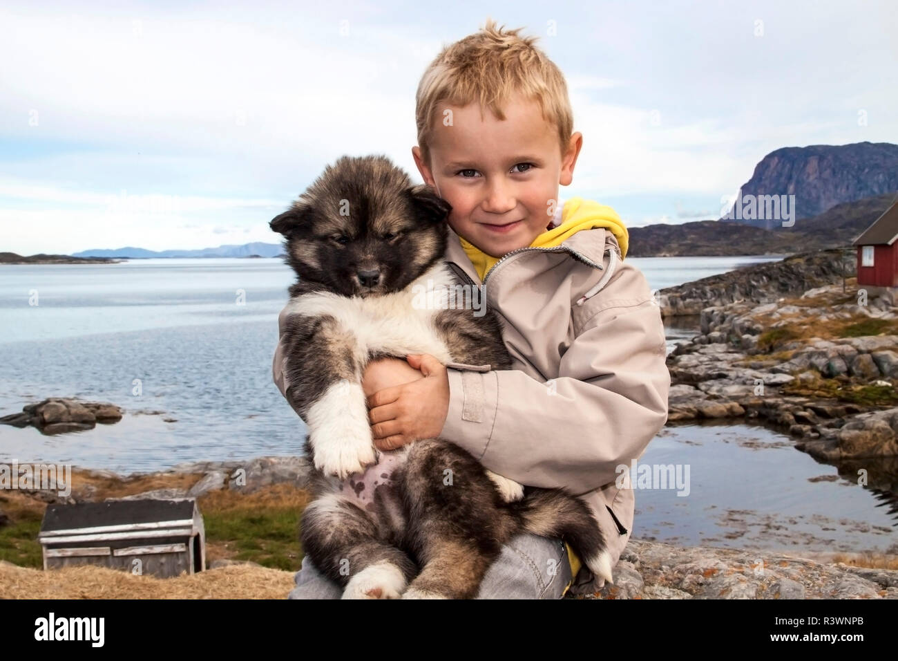 Greenland, Nuuk, Sermersooq. Local boy holds his Siberian Husky puppy Stock Photo