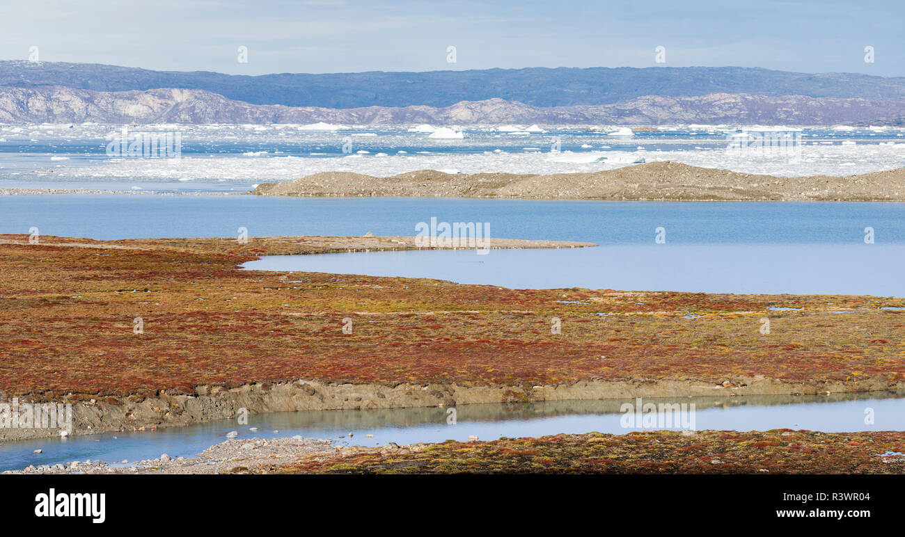 Tundra near glacier Eqip (Eqip Sermia) in western Greenland, Denmark Stock Photo