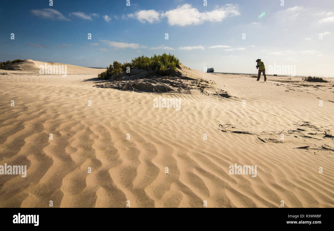 Mexico. Baja, Gulf of California, Magdalena Beach. Photographer taking Pictures on Sand dunes. Stock Photo