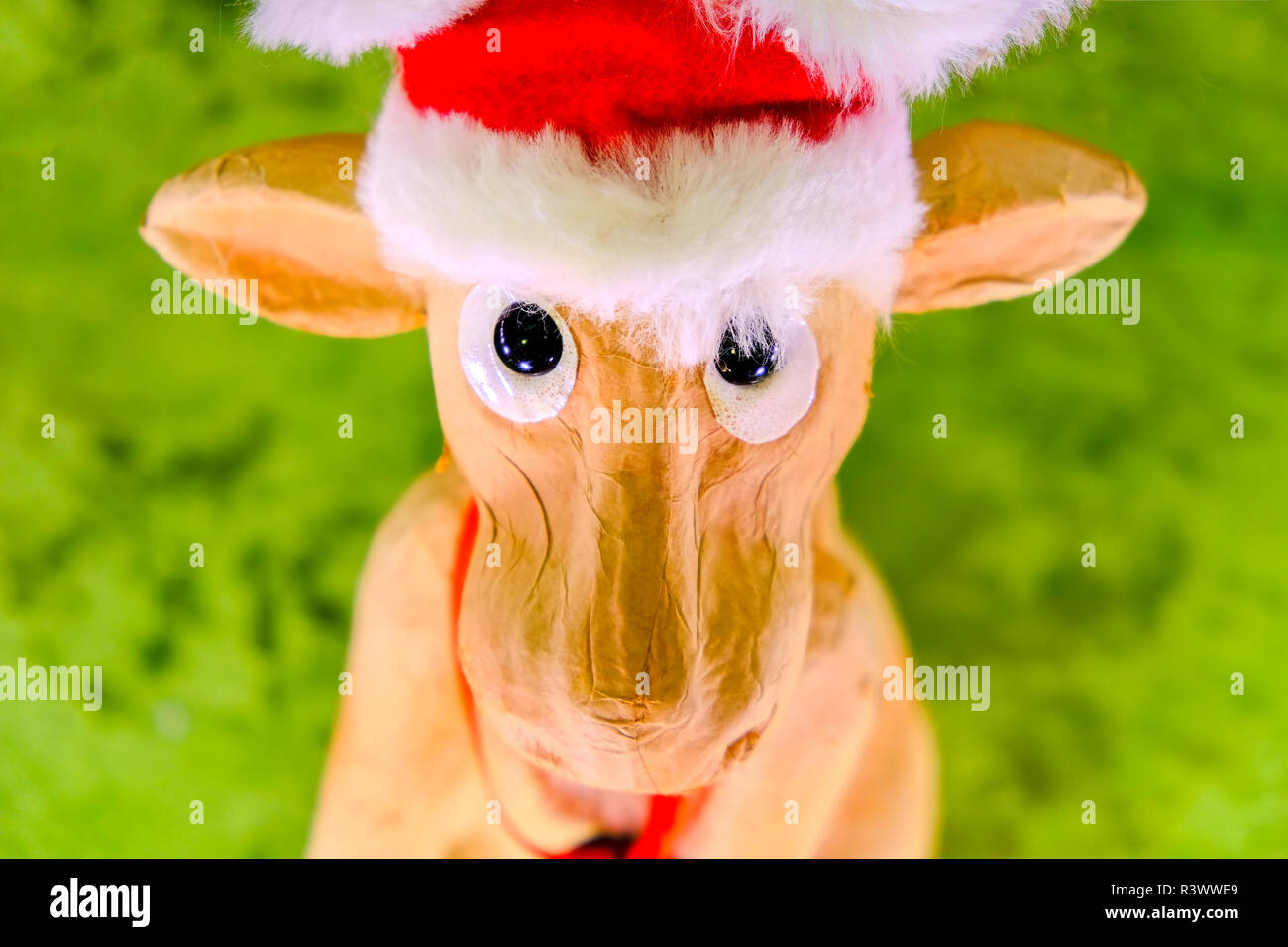 reindeer with christmas hat ornament character face portrait looking at camera toy decoration Stock Photo