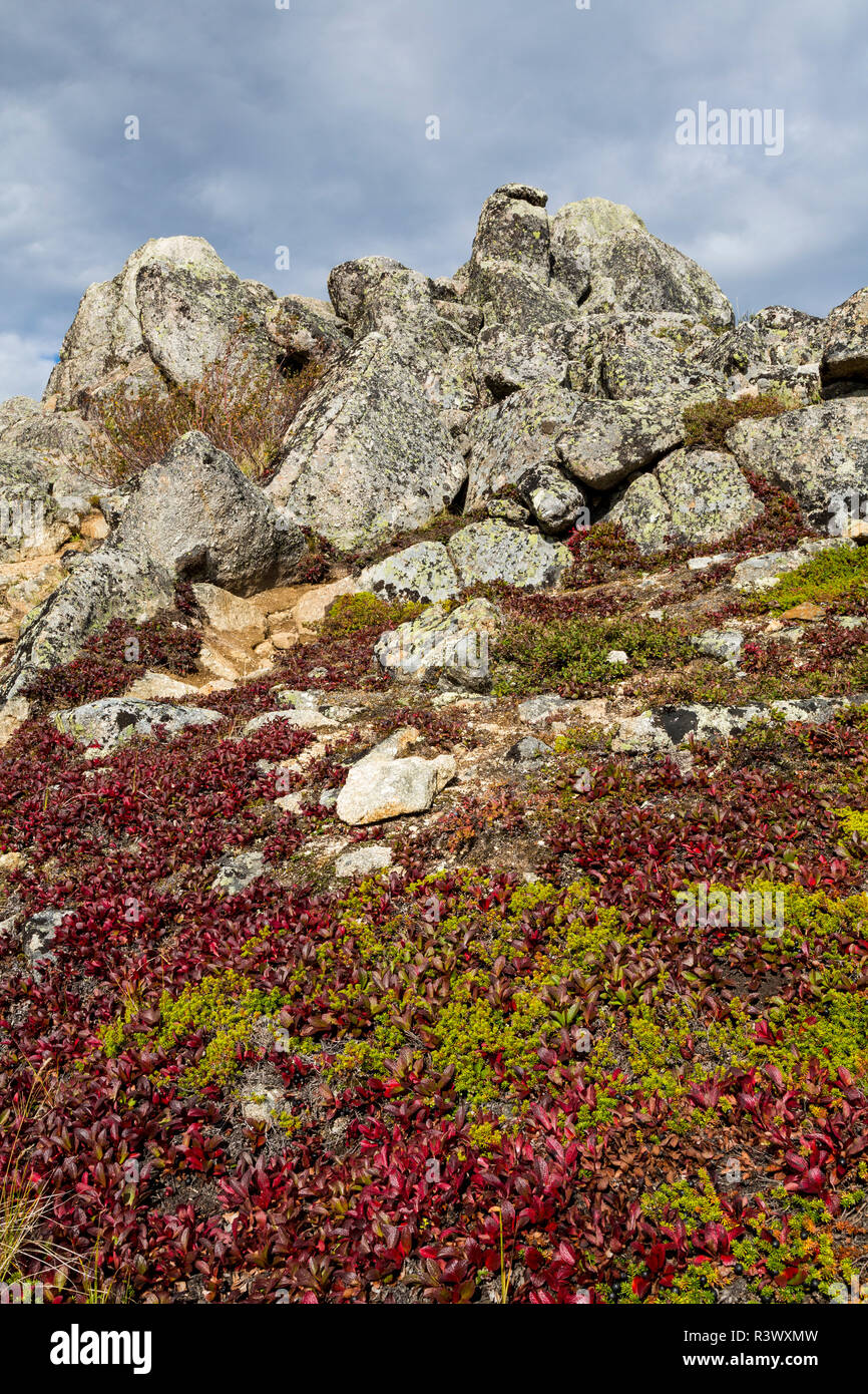 USA, Alaska, Dalton Highway. Rock outcrop in tundra Stock Photo - Alamy