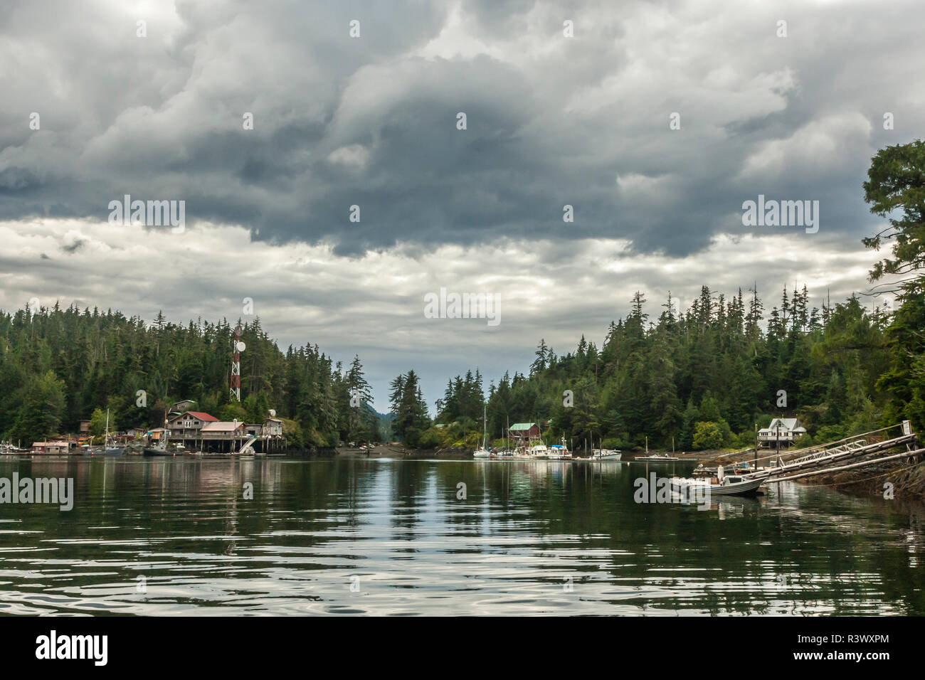 USA, Alaska, Tongass National Forest. Port Protection harbor Stock