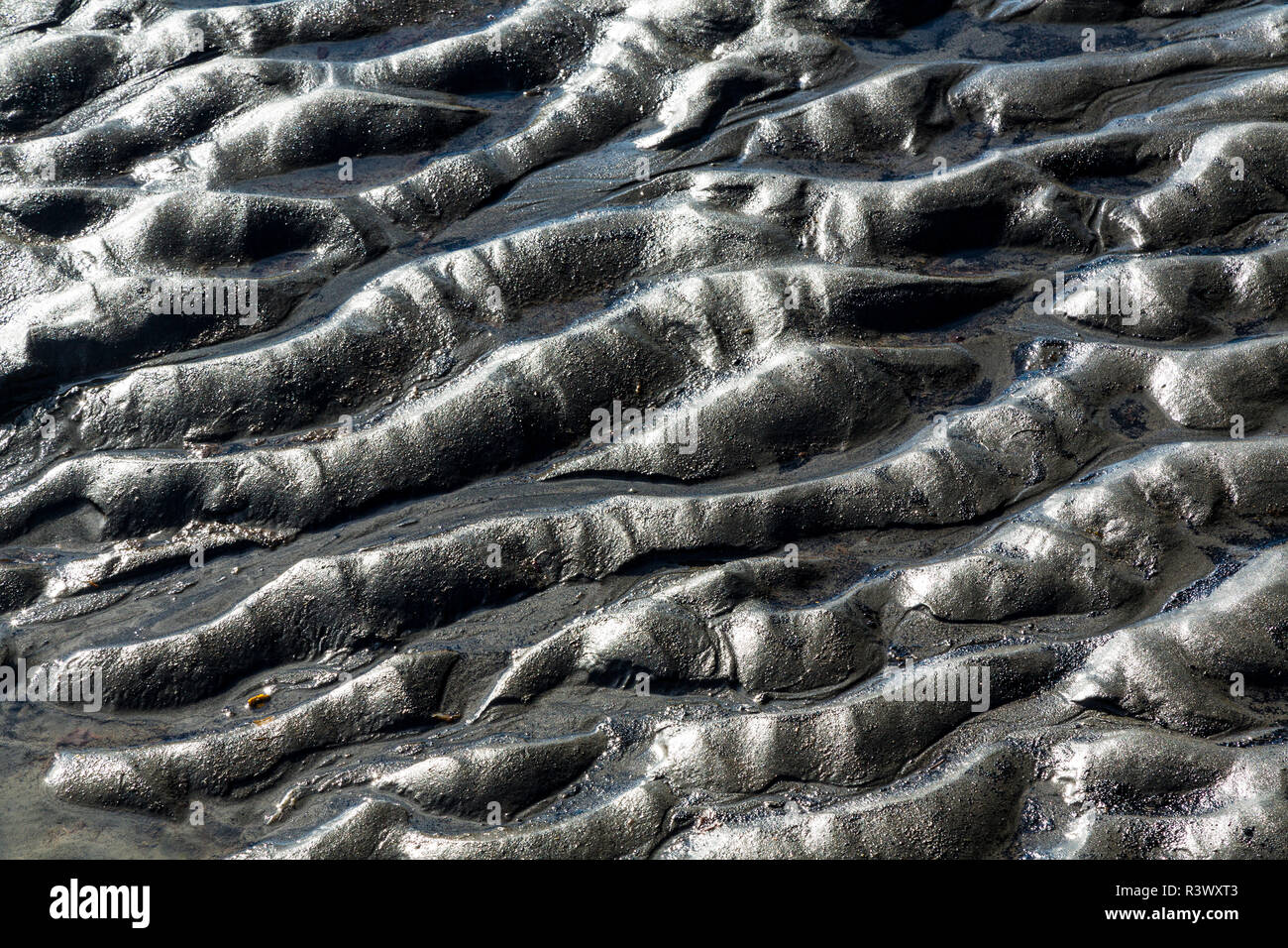 USA, Alaska, Kenai Peninsula. Black and white of beach sand patterns. Stock Photo