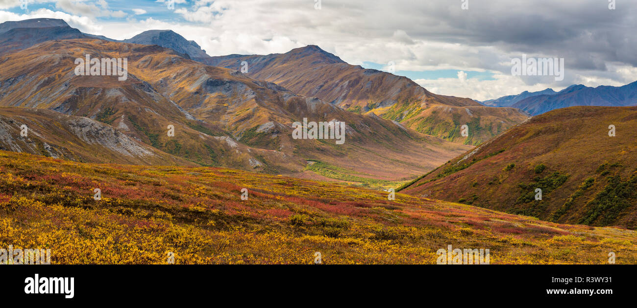 USA, Alaska, Brooks Range. Tundra on mountain panoramic. Stock Photo