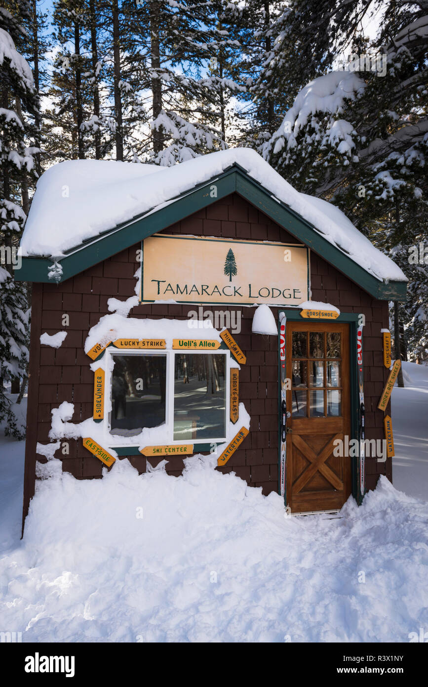 Tamarack Lodge cross-country ski hut, Inyo National Forest, California, USA Stock Photo
