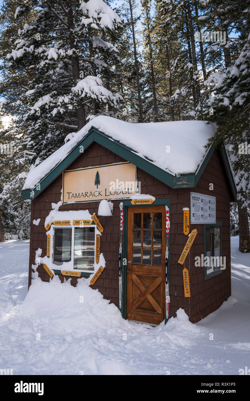 Tamarack Lodge cross-country ski hut, Inyo National Forest, California, USA Stock Photo