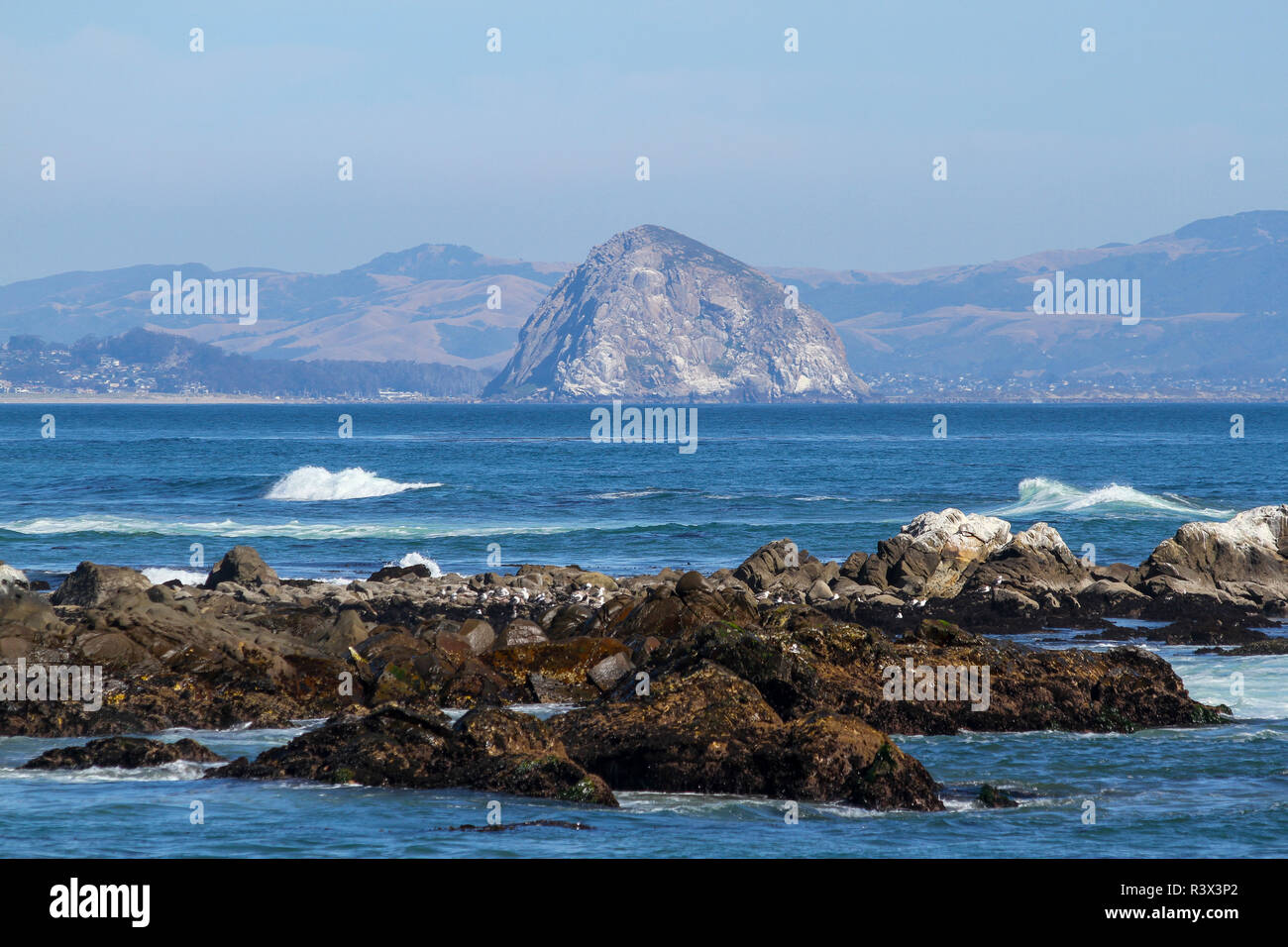 morro rock san luis obispo