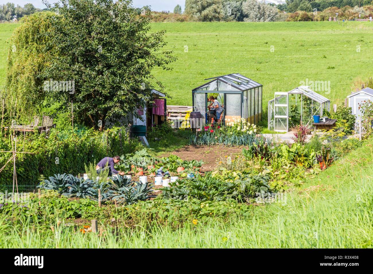 Engelen, Netherlands August, 08, 2017 People working in the