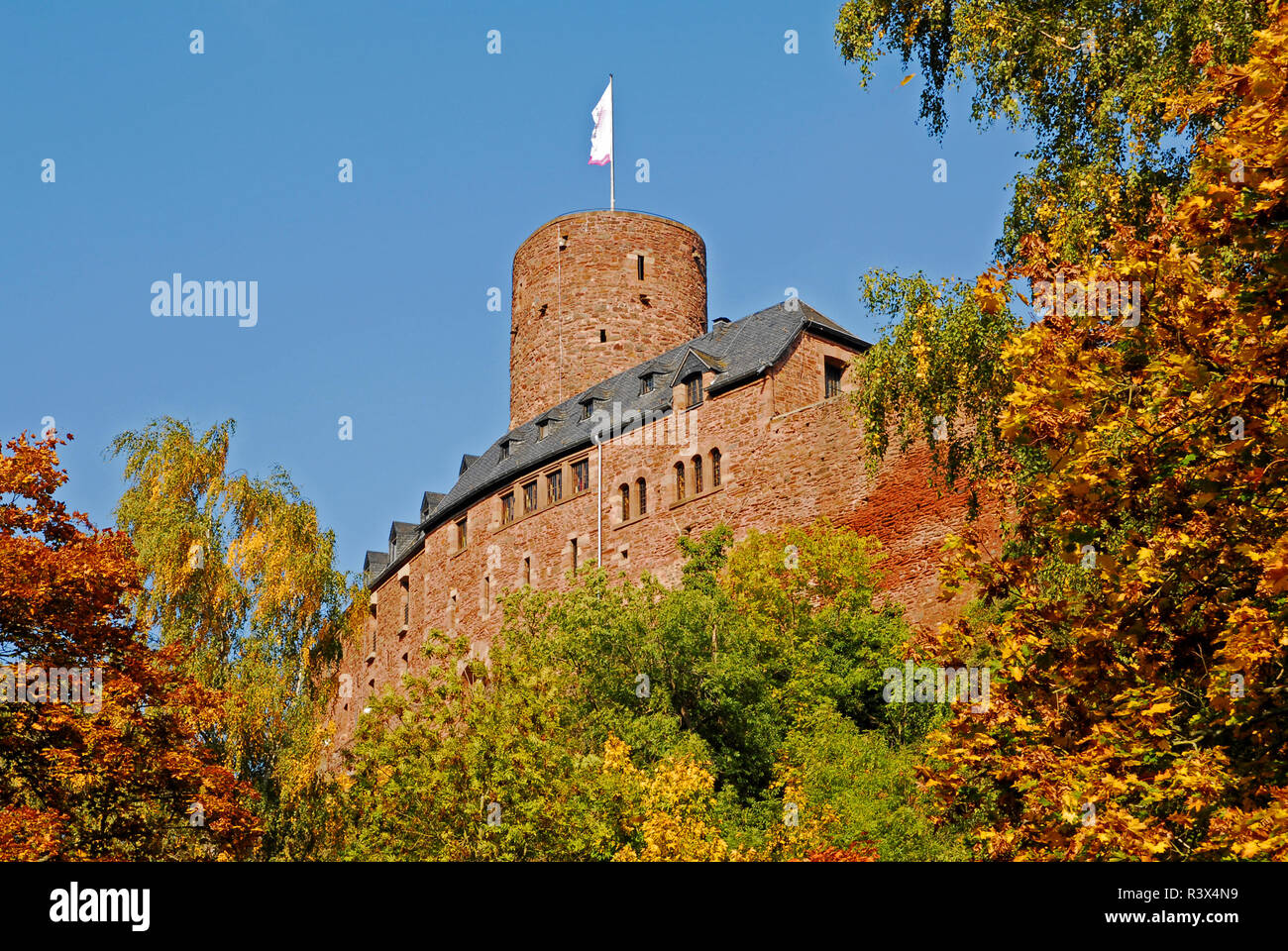 hengebach in autumn Stock Photo