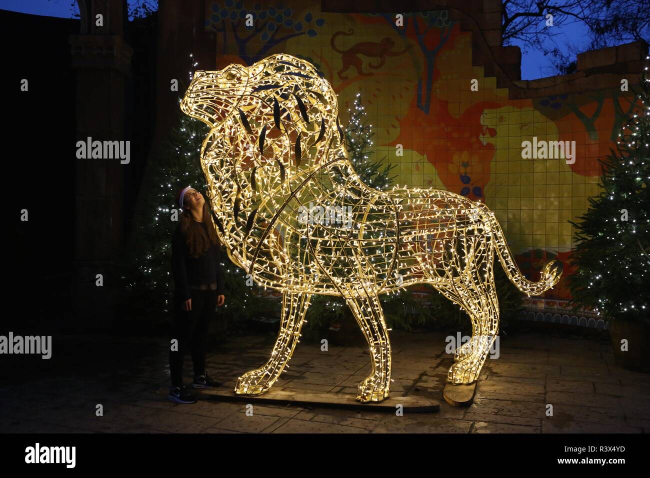 Christmas at London Zoo Stock Photo Alamy