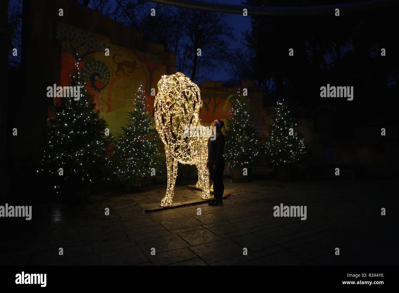 Christmas at London Zoo Stock Photo Alamy