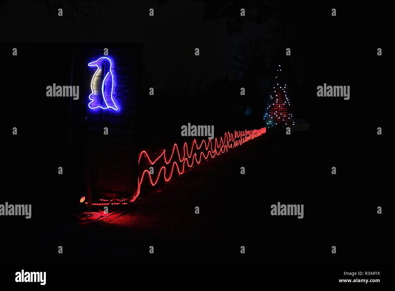 Christmas at London Zoo Stock Photo Alamy